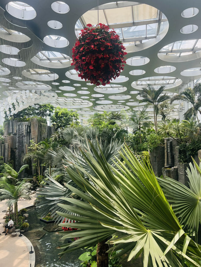 Discover the Beauty of Shanghai Greenhouse Garden! 🌼