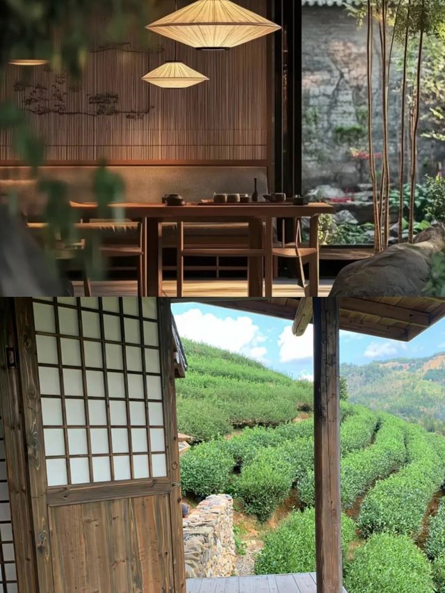 喺蘇州發現嘅神仙民宿！宋代茶禪美學yyds