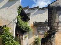 去咗4次婺源篁嶺景區，終於玩到明！