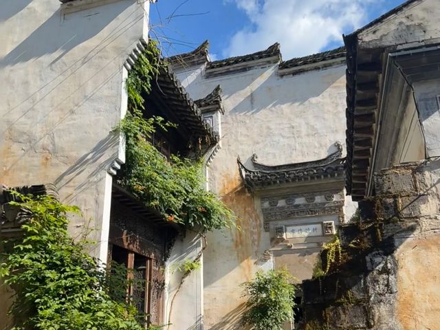 去咗4次婺源篁嶺景區，終於玩到明！