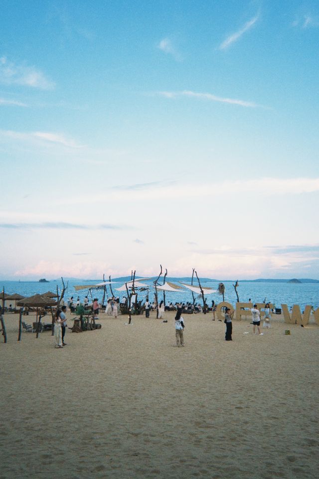 椰林海景絕美視角