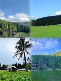 避暑就嚟武陵山國家森林公園！今個夏天最清涼嘅山野秘境