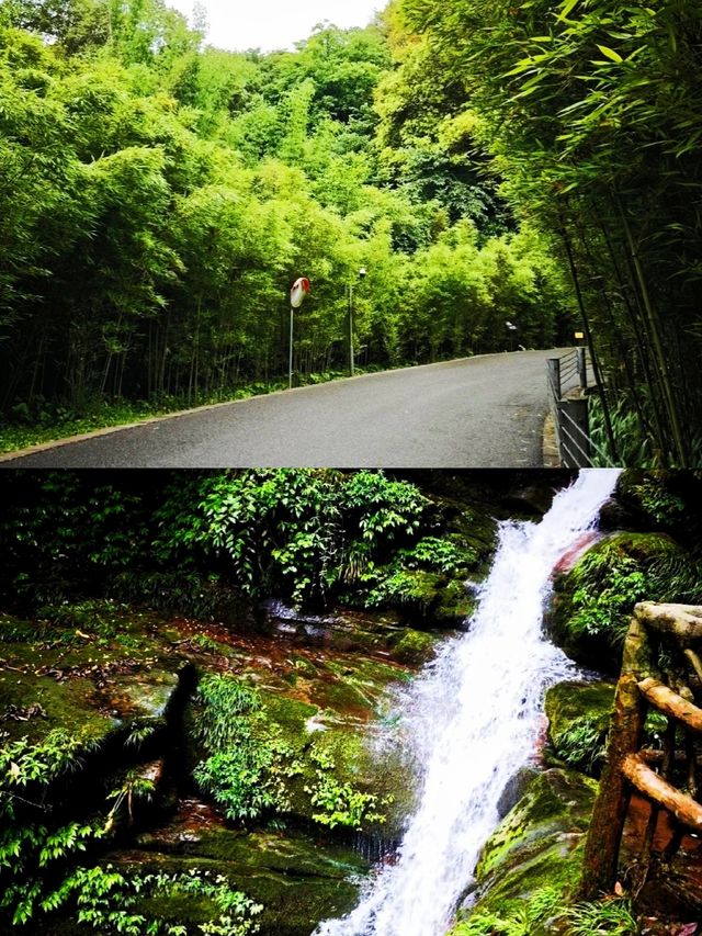 寶貝們快入！超正碧峰峽旅遊攻略嚟啦