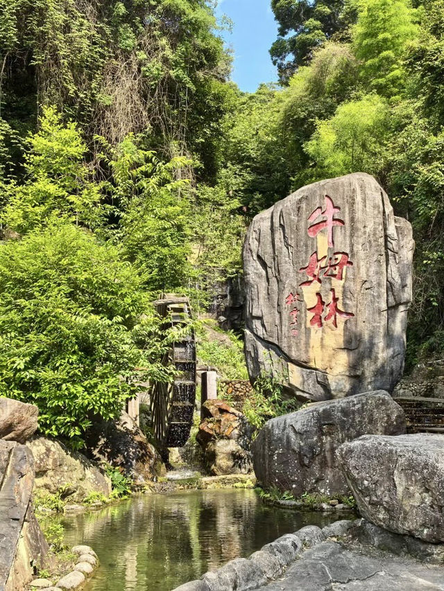 天然氧吧・永春牛姆林的生命樂章 天然氧吧・永春牛姆林的生命樂章