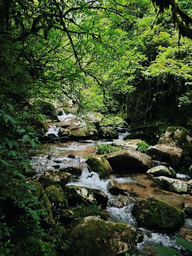 湖南秘境雲上大院 | 2天2晚遊玩攻略