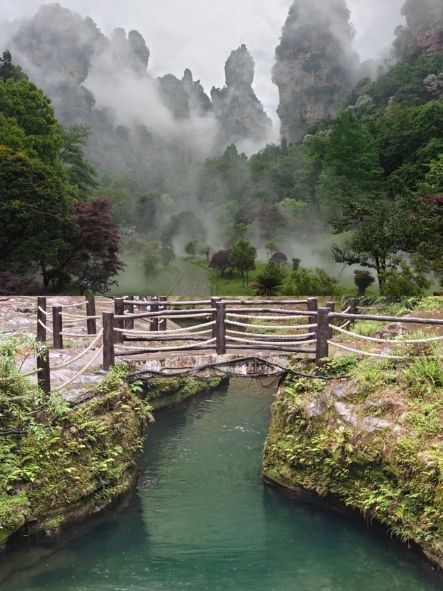 雨中張家界宛如仙境