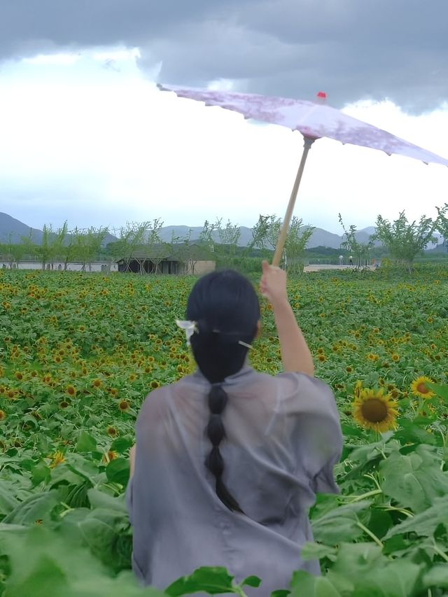 下渚湖古風漫遊記 下渚湖古風漫遊記