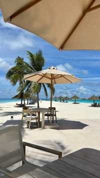 Comfortable Villas and Delicious Dining Experience