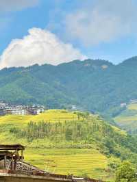 彩田畫境，白河天寶梯彩農園的多彩詩篇