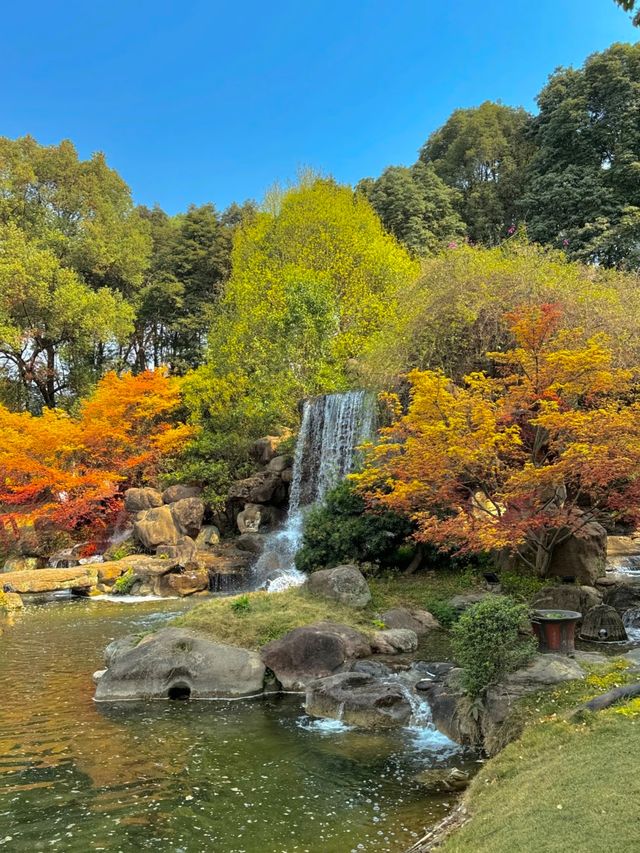 成都0元大片聖地！12個免費打卡點一個人也能出片
