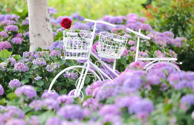 南寧之夜·拾光花園