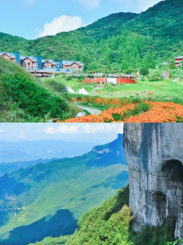重慶南川金佛山保姆級攻略|四季玩法大公開 重慶南川金佛山保姆級攻略|四季玩法大公開