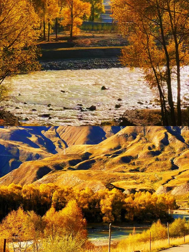 自駕黨必看！在祁連雪山草原當3天自在野馬