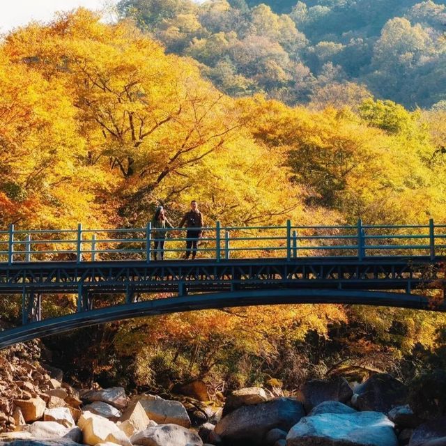 濟南紅葉谷一日遊攻略 濟南紅葉谷一日遊攻略