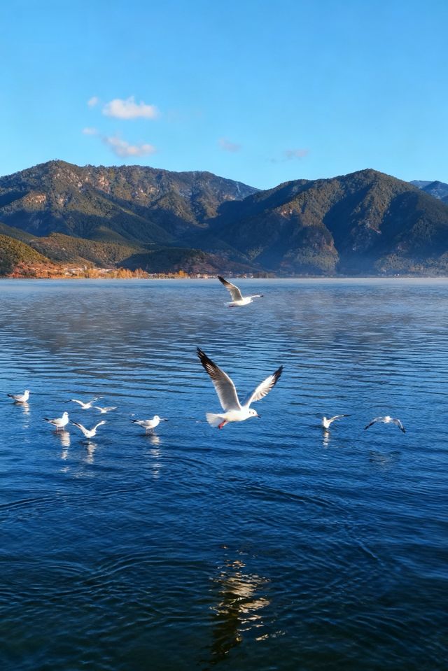 接下來的瀘沽湖美若人間仙境