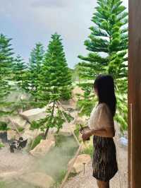 佛山綠洲🌵地中海荒野秘境咖啡店☕️