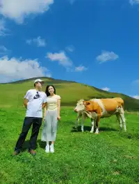 2天1夜壩上草原親子遊！省心省錢超全攻略