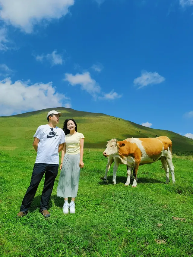 2天1夜壩上草原親子遊！省心省錢超全攻略