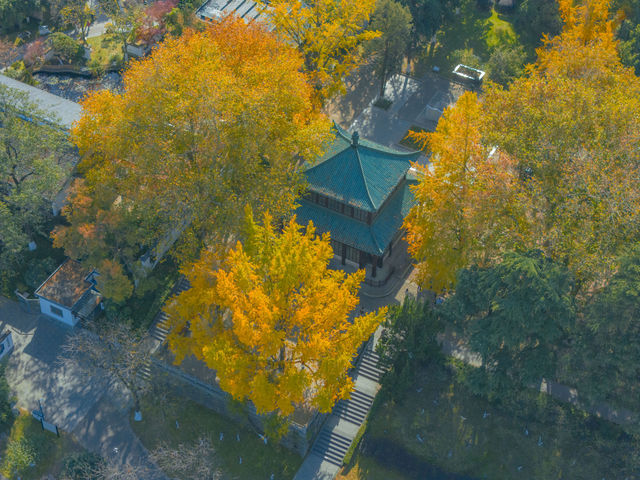 南京玄武湖公園拍照打卡，秋天來這裡感受湖邊的溫柔。
