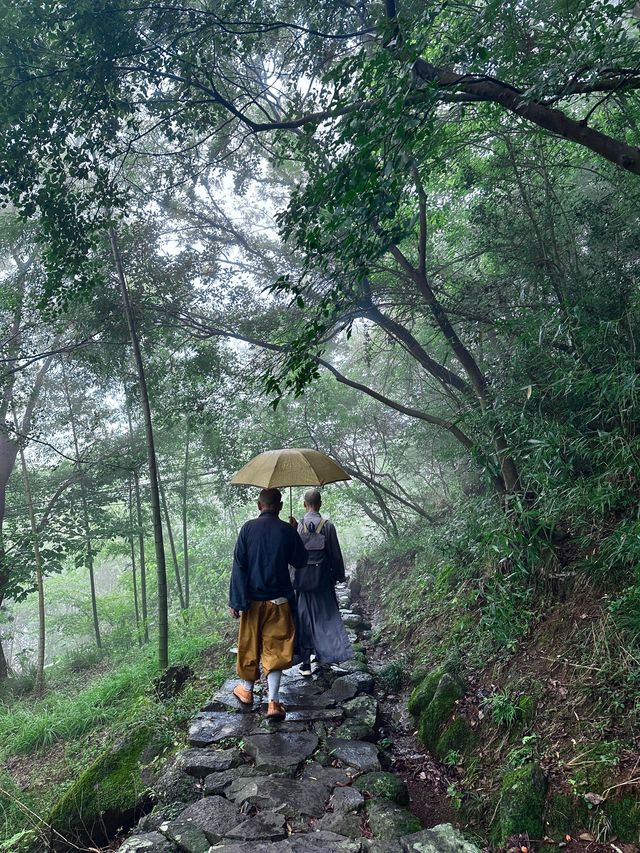 天台山茶香秋色遊