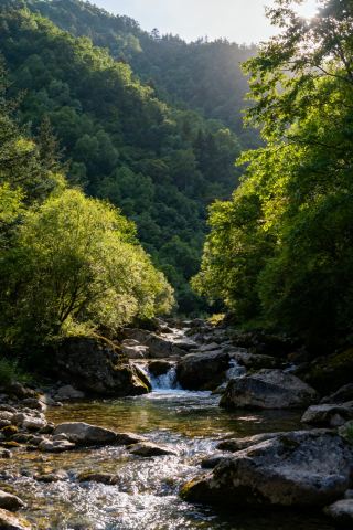 Ningxia Jingyuan: A Summer Retreat Wonderland at the Foot of Liupan Mountain, Encountering a Cool Summer of 18℃