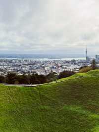 Meadow Magic Auckland🌱🌋 Mount Eden Lookout: Auckland's Ultimate 360° View!