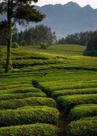 詩意的中國恩施站：恩施旅行攻略