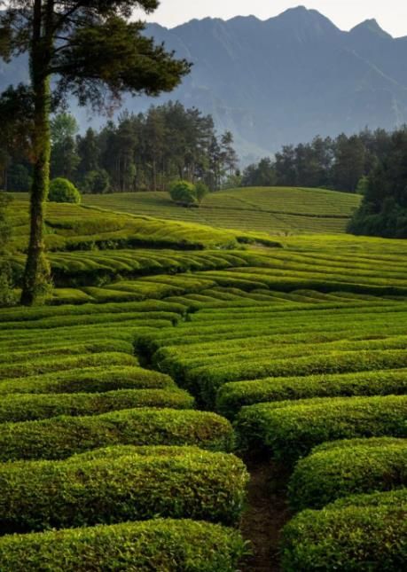 詩意的中國恩施站：恩施旅行攻略