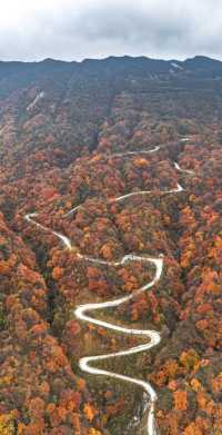 漢中龍頭山一日遊四川周邊遊秋天必去打卡地