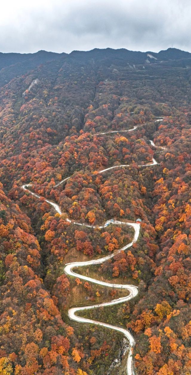 漢中龍頭山一日遊四川周邊遊秋天必去打卡地 漢中龍頭山一日遊四川周邊遊秋天必去打卡地