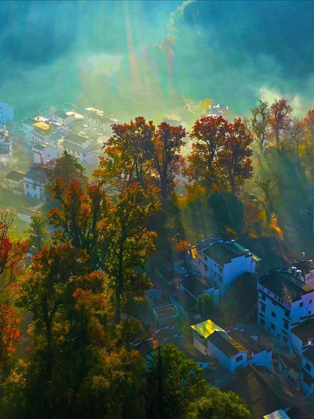 上饒1日包車遊這些地方美到失語