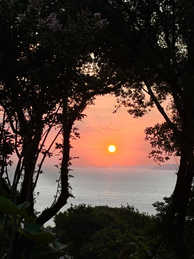 發現一處隱世秘境!舟山這家童話莊園酒店也太絕了! 發現一處隱世秘境!舟山這家童話莊園酒店也太絕了!