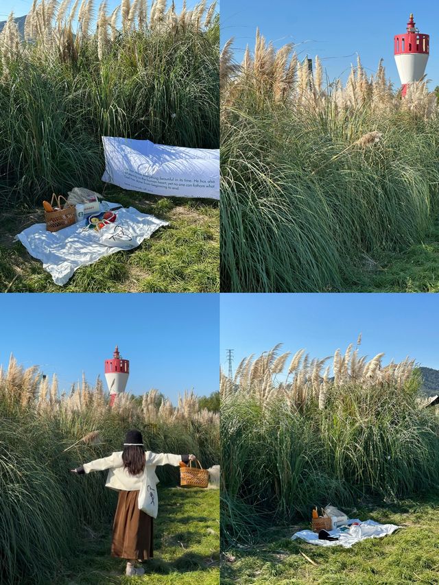 已經開始期待深秋的紹興了！「附地址」