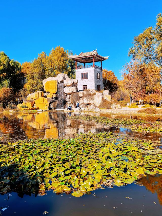北京園博園嶺南園以精緻的嶺南園林風格 在北京的秋韻裡獨領風騷