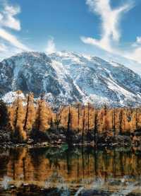 藏在川西深處的秘境！黨嶺3天2夜，解鎖少有人知的極致浪漫