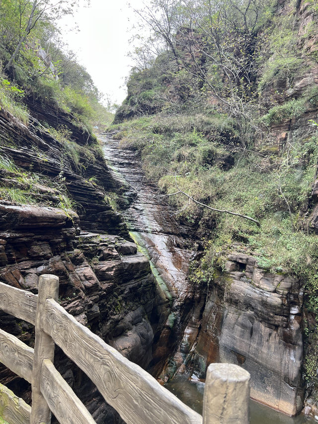 京娘湖金秋免票攻略｜11.15前薅羊毛衝鴨！