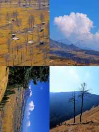 免費吸氧地！貴德江拉旅遊實用筆記