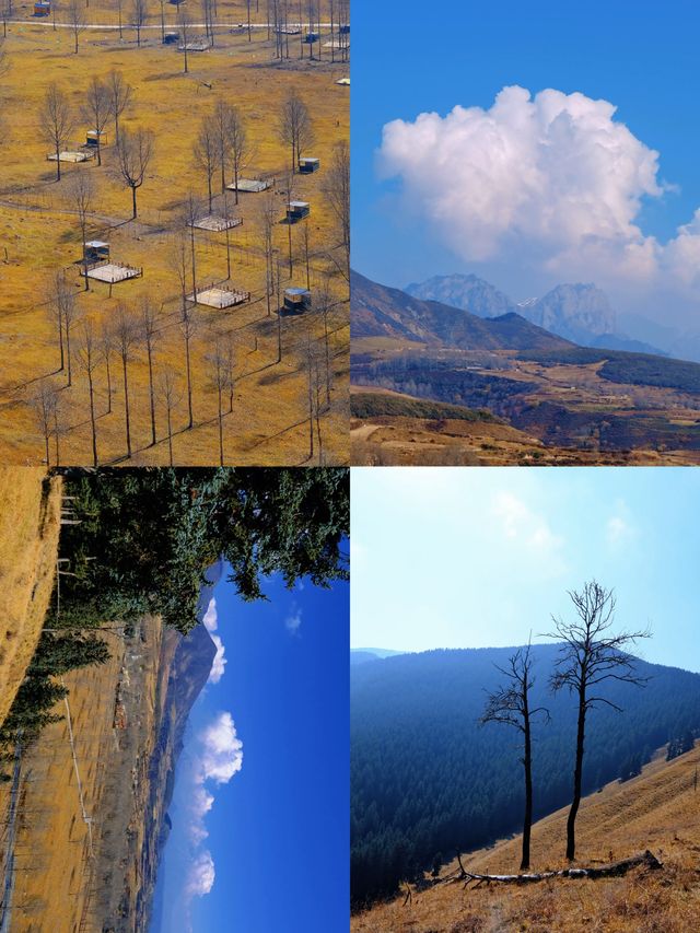 免費吸氧地！貴德江拉旅遊實用筆記