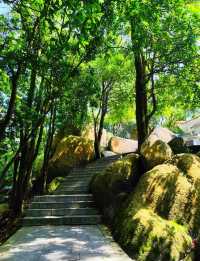 俯瞰城市絕美日落