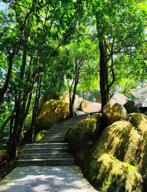 俯瞰城市絕美日落