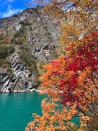 疊溪松坪溝紅葉盛宴