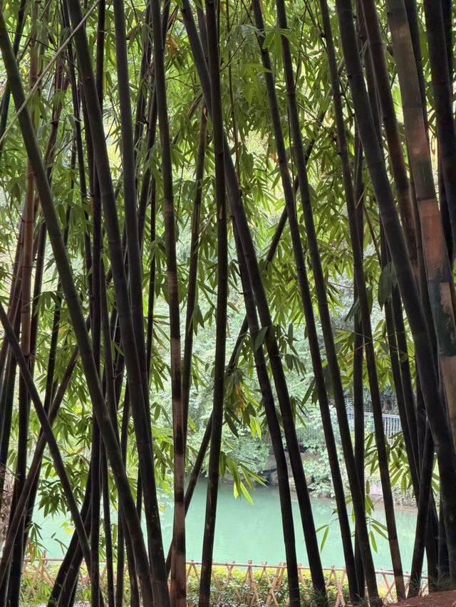 浣花溪公園：在詩箋竹影裡打撈杜甫的漣漪