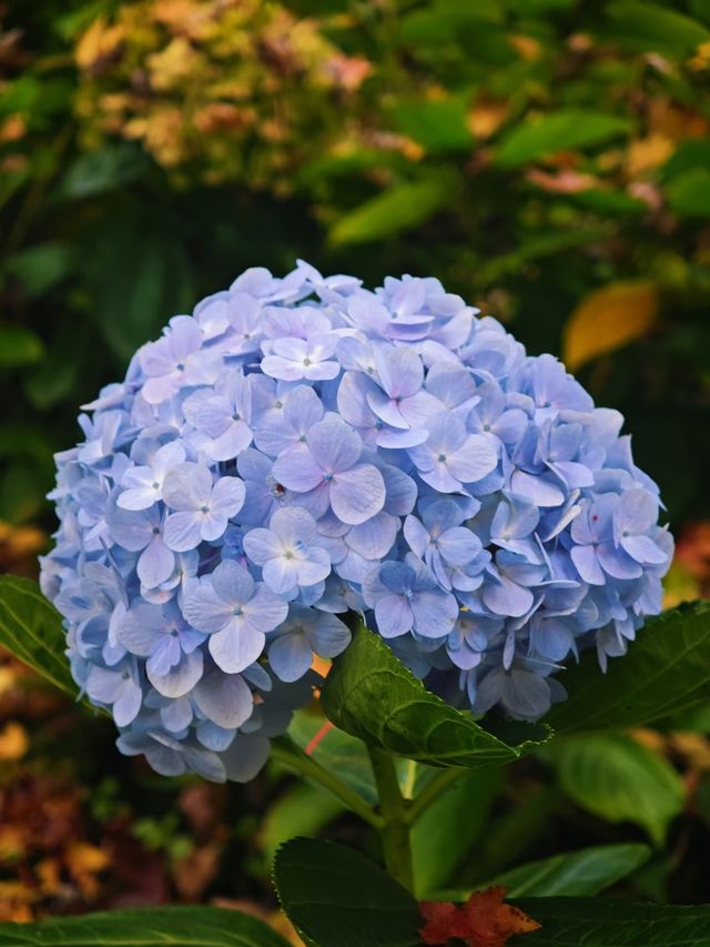 小眾玩法大公開 小眾玩法大公開