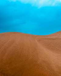 沙漠騎駝走天涯