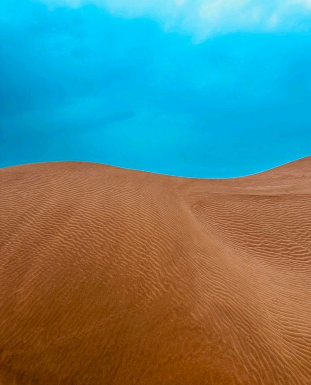 沙漠騎駝走天涯