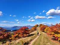 別再擠香山啦！私藏0元秘境，北京紅葉天花板！