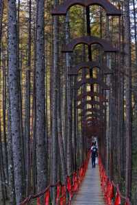 秦嶺留壩環線之情人谷