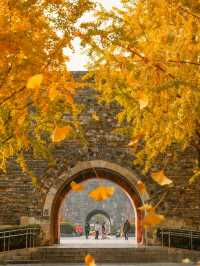 明孝陵2日遊攻略