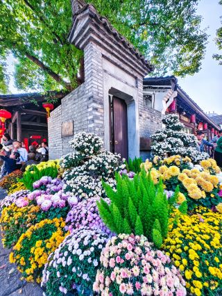 항저우 식물원 국화전은 사람들로 붐비는데 여기로 오면 무료로 관람할 수 있어요