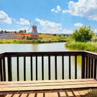 省錢遊彌勒2天夠過癮！湖泉踏浪、東風賞花，少花錢也能爽翻天